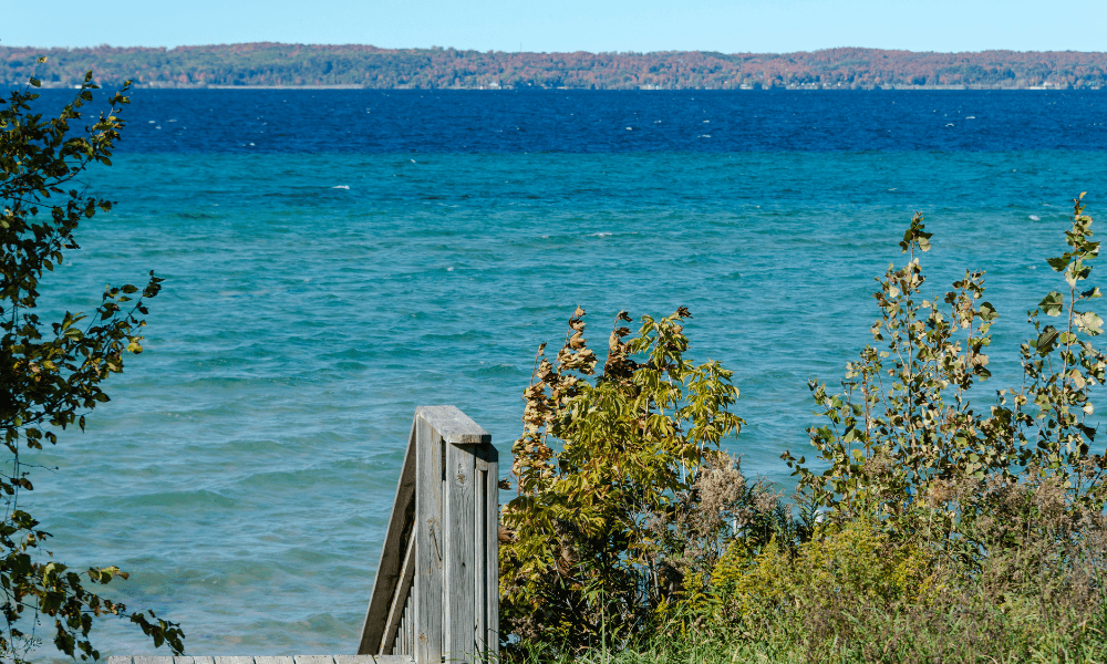 Wooden steps lead down to a shoreline with clear blue water, surrounded by foliage. A distant tree-lined horizon is visible.